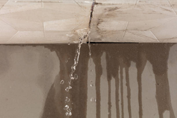 Professional Flood Damage Cleanup technician working in Willis, MI